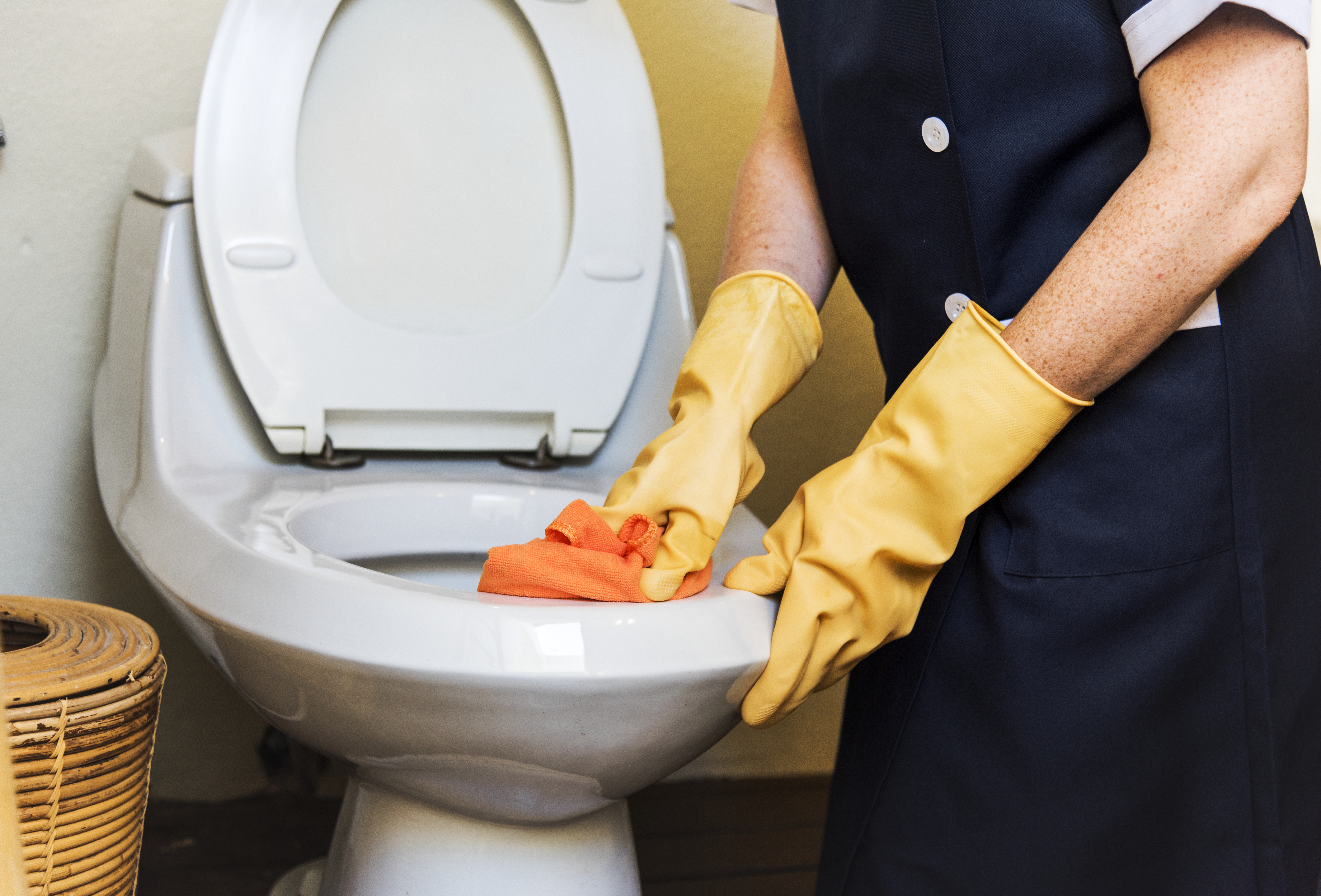 Rest Room Cleaning